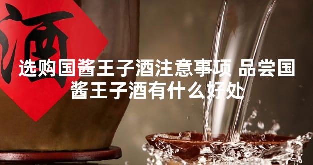 选购国酱王子酒注意事项 品尝国酱王子酒有什么好处